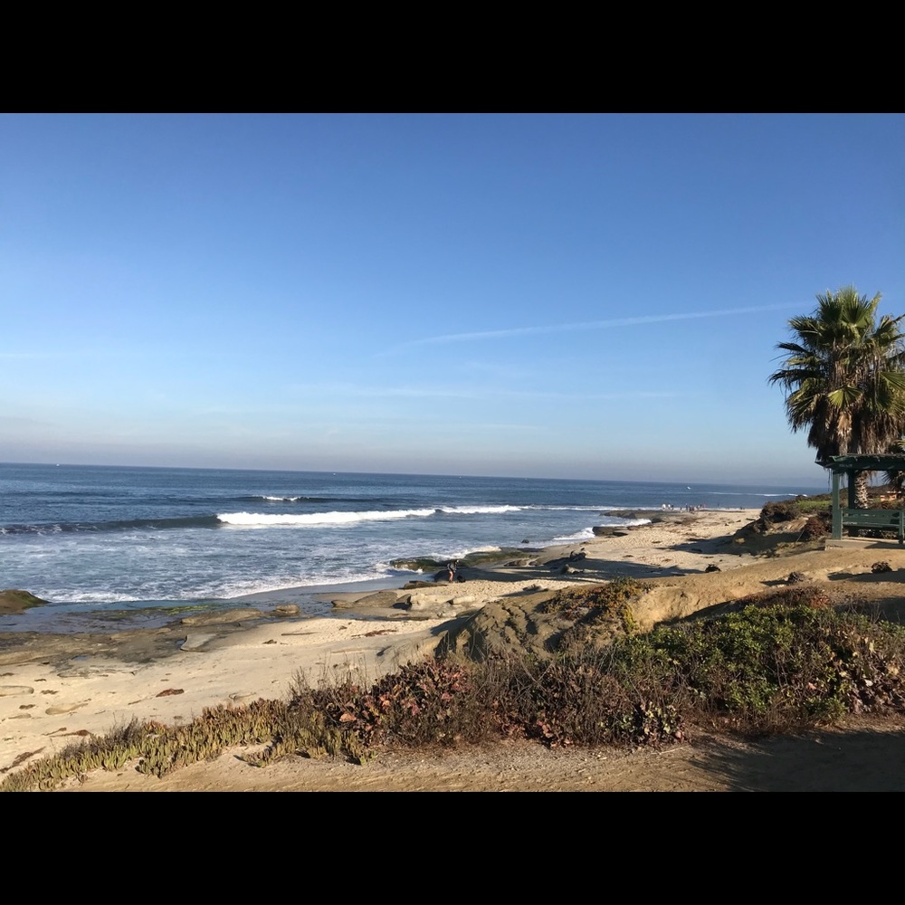 GOING OUT OF TOWN - LAST DAY TO BUY IS TODAY 12/22